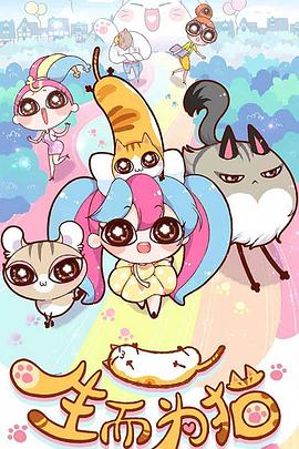 企业网站排名提升优化